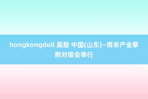 hongkongdoll 露脸 中国(山东)—南非产业攀附对接会举行