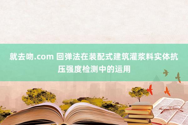就去吻.com 回弹法在装配式建筑灌浆料实体抗压强度检测中的运用