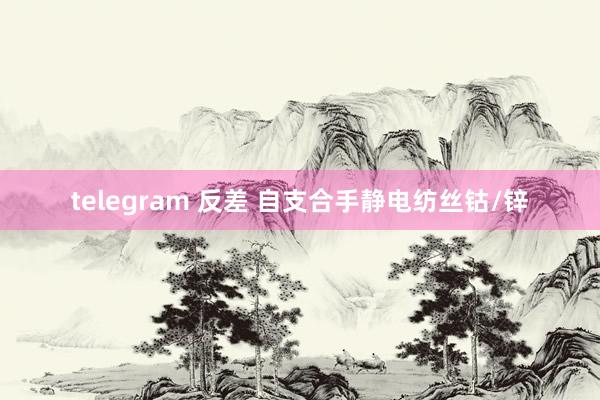 telegram 反差 自支合手静电纺丝钴/锌