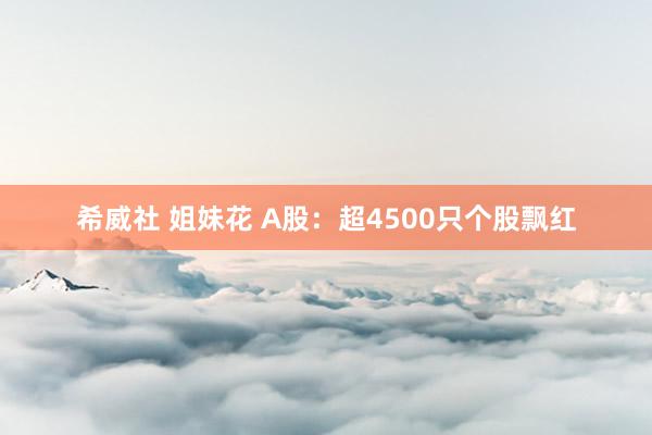 希威社 姐妹花 A股：超4500只个股飘红